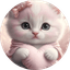 Kitty